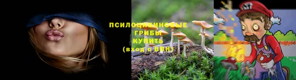 скорость Алексин