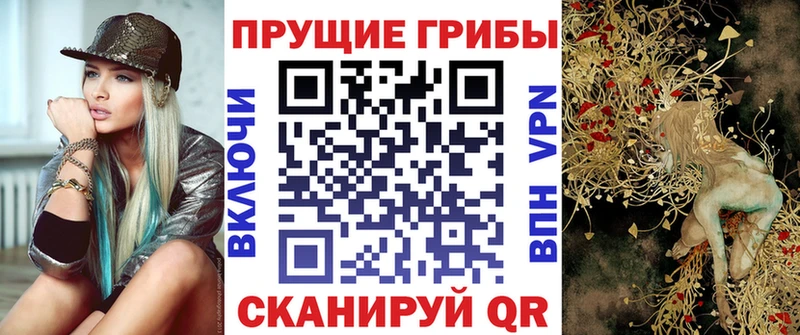 дарнет шоп  Руза  shop формула  Псилоцибиновые грибы Cubensis 
